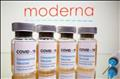Click to see image detail ModernaCovid19Vacine.jpg