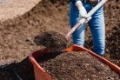 Click to see image detail compostpile.jpg