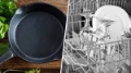 Click to see image detail dishes.jpg