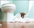Click to see image detail Fido2.jpg