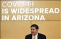 Click to see image detail Covid19AZ.jpg