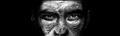 Click to see image detail Humonkey.jpg