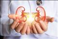 Click to see image detail kidneycare.jpg