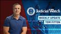 Click to see image detail TomFitton.jpg